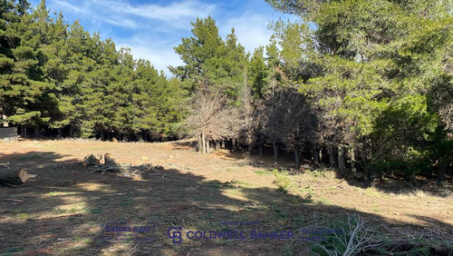 Venta Lote/terreno 275,70m2 - Dina Huapi Rio Negro- Bariloche