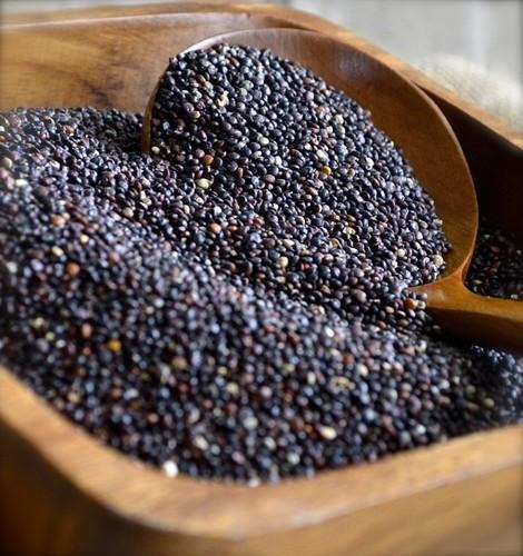 Imagem 2 de 10 de Quinoa Preta Super Alimento Inca 300 Sementes - Para Cultivo