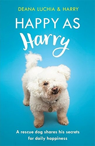 Happy As Harry A Rescue Dog Shares His Secrets For Daily Hap