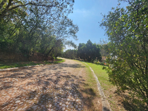 Venta De Lote San Diego 8 Sobre Boulevard Muy Cerca De Las Amenidades Y Del Hotel Del Fracc Rancho San Diego Ixtapan De La Sal Edomex. Se Incluye Proyecto