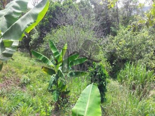 Imagem 3 de 8 de Cód 2618 - Lindo Sitio Com 48.000 M2 - 2618