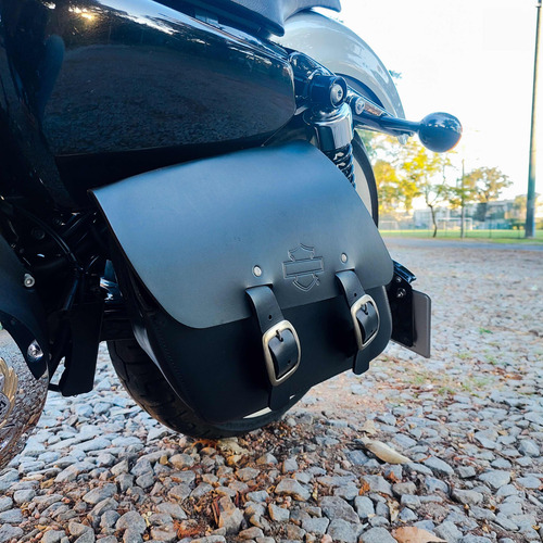 Imagen 15 de 19 de Harley Davidson Sportster Iron 883