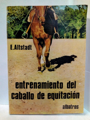 Entrenamiento Del Caballo De Equitación - Altstadt E. 
