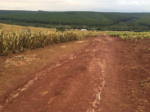 Imagem 4 de 15 de Fazenda Para Venda Em Piraju, Rural - Faz 133_1-1938778