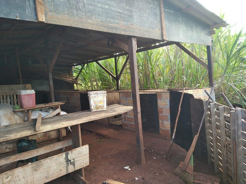 Imagem 10 de 19 de Chácara Com 3 Dormitórios À Venda, 2400 M² Por R$ 320.000,00 - Alto Da Boa Vista - Foz Do Iguaçu/pr - Ch0026
