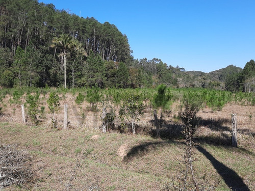 Imagem 29 de 30 de (100 Alqueires) Exuberante Fazenda De Alto Padrão, Com Vista Para Represa, Cachoeira Na Divisa, Cercada Por Mata Nativa E Infraestrutura Completa!!! - 01 - 70257064