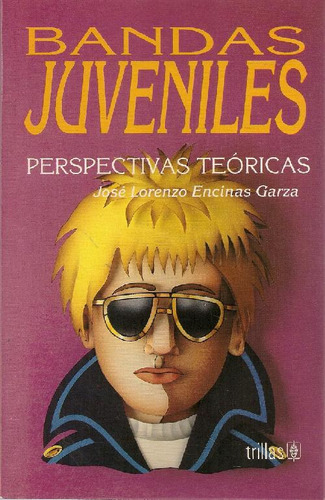 Libro Bandas Juveniles De José Lorenzo Encinas Garza