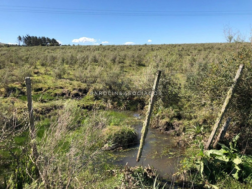 Campo En Venta Excelente Lugar- Ref: 3643