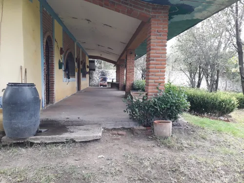Finca Elsa Alicia (precio A Tratar)