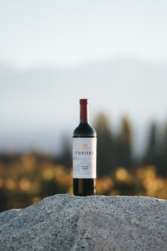 Vino Tinto Trapiche Tesoro Malbec Mendoza Caja X6