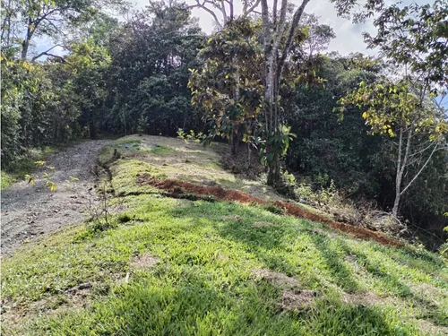 Lote En Venta, Los Cedros, Cocorná