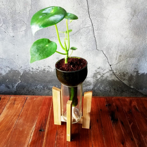 Cuchara Little Plant 24 Con Soporte, Maceta Autorregante