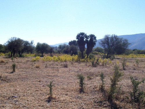 Imagen 7 de 9 de Fracción De 5 Ha. Charbonier( Última Disponible)