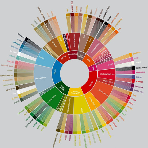 Cuadro Rueda De Sabores Del Cafe Especialidad 2023 Nuevo!
