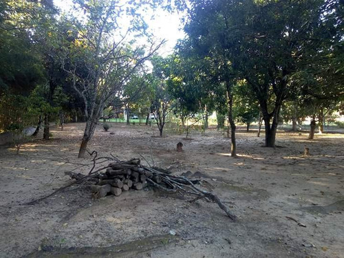 Chácara Pesqueiro Rio Mogi Guaçú