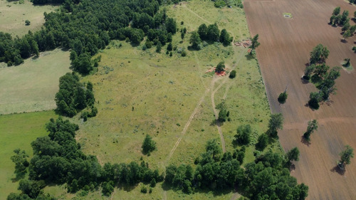 Campo En Venta En Cañitas, Los Muermos, Región De Los Lagos