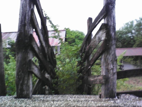 Imagen 7 de 11 de Venta De Rancho En Ciudad Valles, San Luis Posoti