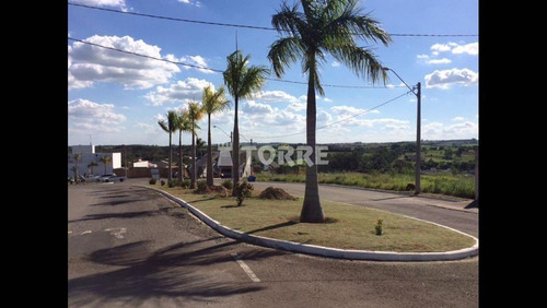 Imagem 3 de 10 de Terreno À Venda Em Centro - Te002937