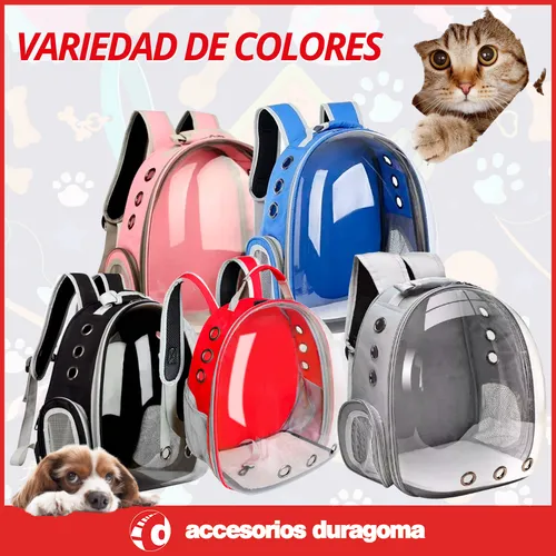 Mochilas transparentes para gatos sale