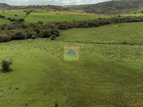Imagen 18 de 28 de Campo 180 Hás En Altos De Carapé