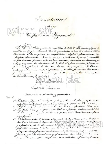 Cuadro Pergamino Preámbulo Constitución Argentina - 1ra Pág.