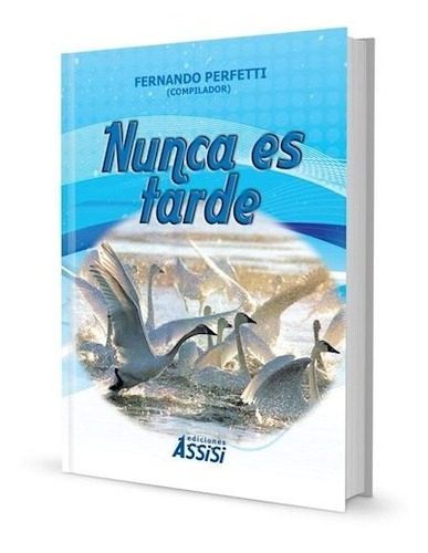 Libro Nunca Es Tarde De Fernando Perfetti