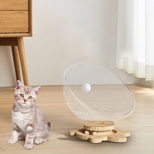 Cama Para Gatos En Cápsula Transparente, Cama Para L