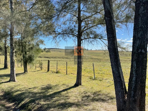 Campo De 95 Has. Ubicado A Tan Solo 15 De La Playa De José Ignacio Y A 40 De Punta Del Este