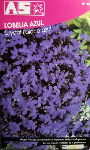 4500 Semillas Lobelia Azul Crystal Palace Calidad Premium