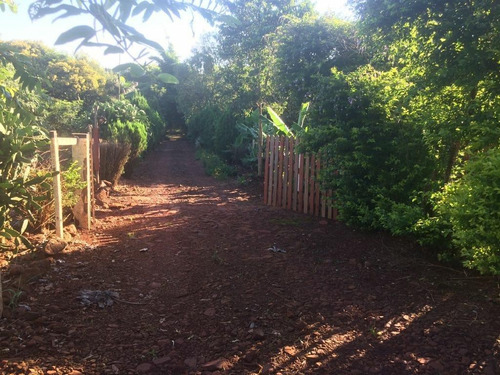 Imagem 7 de 23 de Chácara Com 4 Dormitórios À Venda, 9000 M² Por R$ 750.000,00 - Aparecidinha - Santa Terezinha De Itaipu/pr - Ch0024