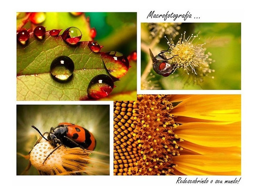 Kit 55mm Macro Nikon Af-p 18-55mm D5600 D5500 D5100 D5300 Ft