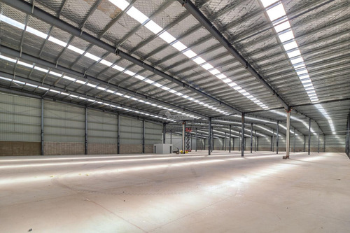 Alquiler Local Galpon Deposito Paso De La Arena Camino Bajo La Petisa 1200m2 Rampa Muelles De Carga