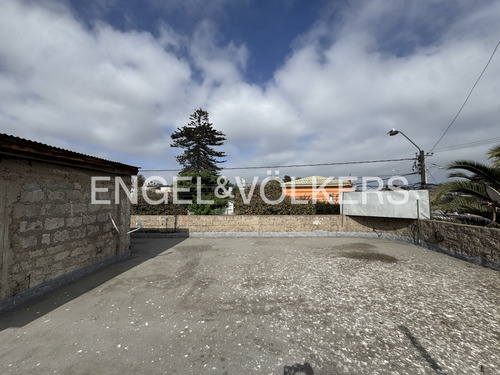 Casa Comercial Con Ingresos Activos