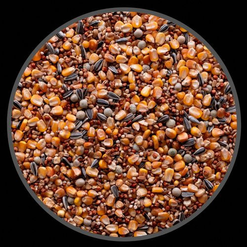 Mistura De Sementes Para Pombos Super Clássica - 5kg