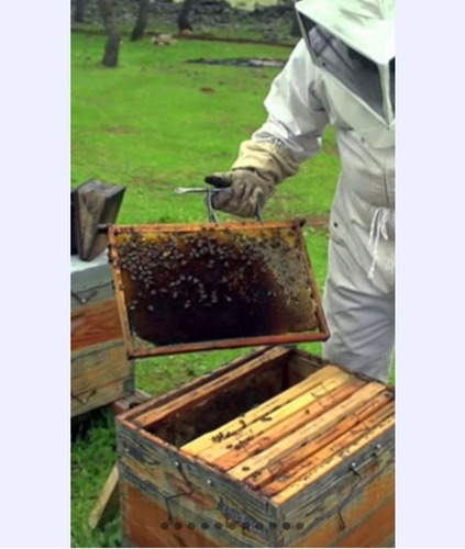 Miel De Abejas Pura 100%, 1 Litro/1.350 Gr C/u ( 2 Piezas )