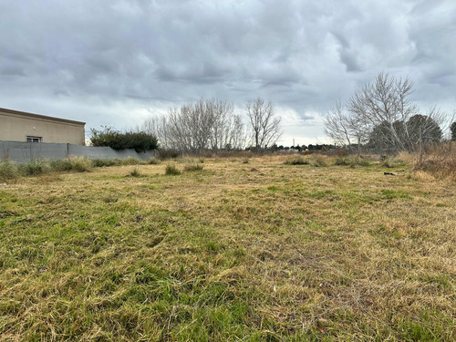 Terreno Ramón Y Cajal Al 4300