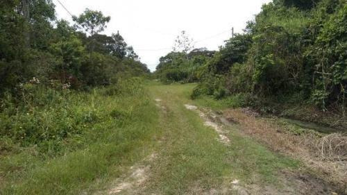 Imagem 4 de 5 de Terreno No Bairro Santa Cruz Em Itanhaém - 6449
