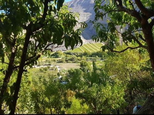 Terreno En Valle Del Elqui 5.000m2 Con 500 Árboles Frutales