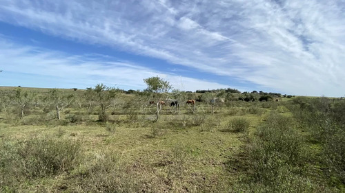 Chacras De 5 Has En Paraje Las Cañas !!!