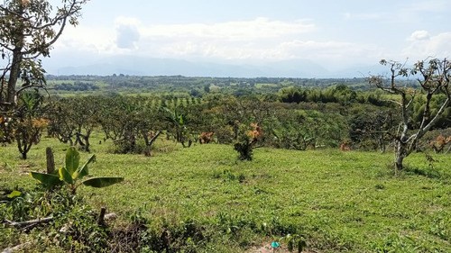 Se Vende Finca En Montenegro Quindío