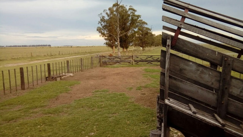 Imagen 20 de 30 de Campo Mixto En San Cayetano