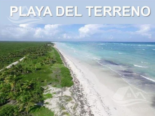 Terreno En Venta, El Uvero, Costa Maya Mahahual, Q. Roo. Hcs6520