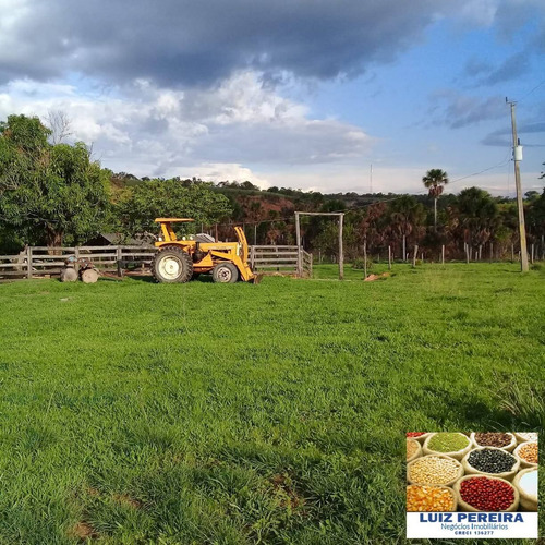 Imagem 11 de 15 de Fazenda À Venda Em Recurdolândia- To - De 130 Alqueirões (pecuária) - 1621