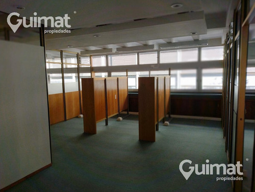 Imagen 8 de 17 de Microcentro Carabelas Exclusiva Oficina Con Pallier Privado 140m2