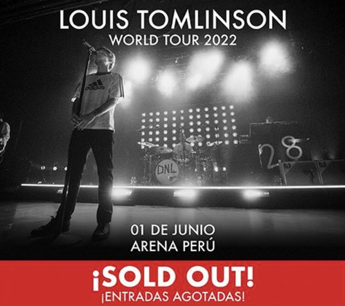 Remate Concierto Louis Tomlinson Campo B