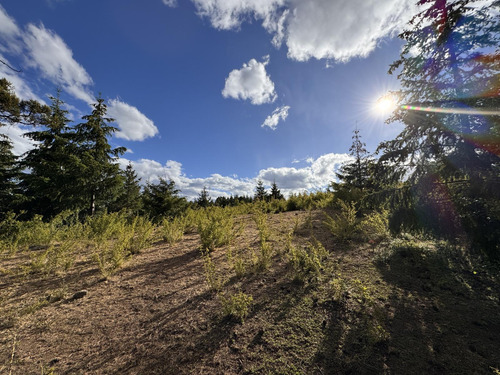 Terreno En Trevelin