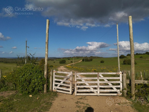 Imagen 13 de 15 de Chacras Financiadas En Aiguá - Maldonado