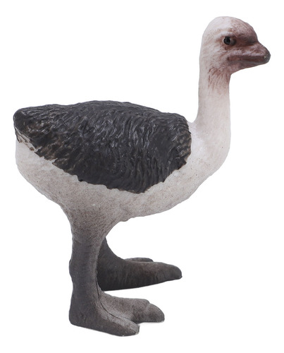Figura De Pvc Con Forma De Ciclo De Vida De Avestruz, Animal