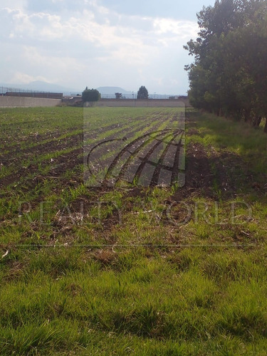 Terrenos En Venta En San Miguel Totocuitlapilco