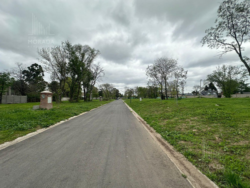 Venta Lote Financiación Avenida Olivos Y Panamericana Excelente Ubicación !!!